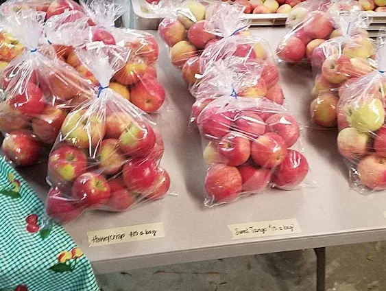 Bags of Honeycrisp and Sweet Tango apples ready for pickup