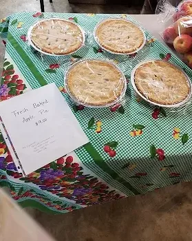 Fresh baked apple pies on a checkered tablecloth